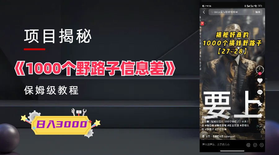 【副业项目6163期】1000个野路子信息差保姆式教程-单日变现3000+的玩法解密-万图副业网
