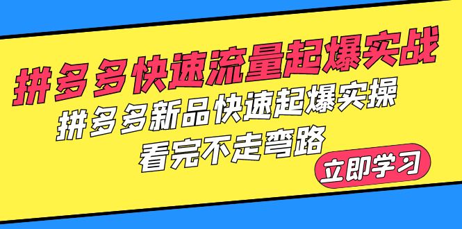 【副业项目6310期】拼多多-快速流量起爆实战，拼多多新品快速起爆实操，看完不走弯路-万图副业网