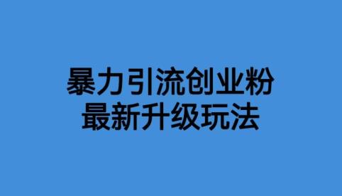 【副业项目6372期】价值1980一千个野路子暴力引流最新升级玩法【揭秘】-万图副业网
