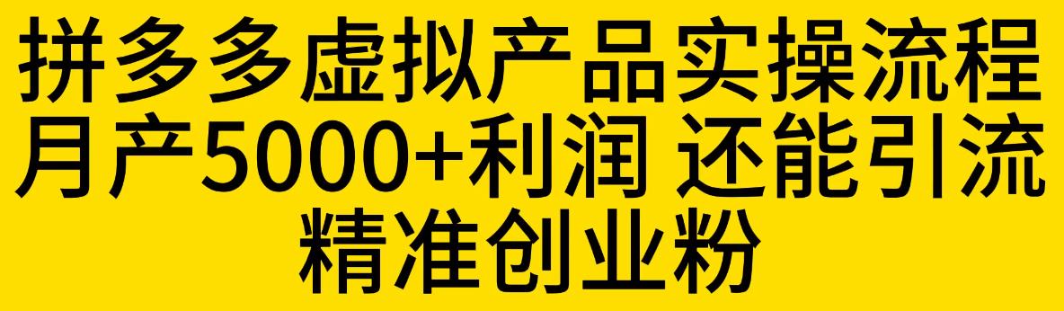 【副业项目6569期】拼多多虚拟产品实操流程，月产5000+利润，还能引流精准创业粉-万图副业网