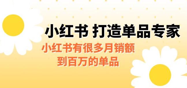 【副业项目6703期】某公众号付费文章《小红书打造单品专家》小红书有很多月销额到百万的单品-万图副业网