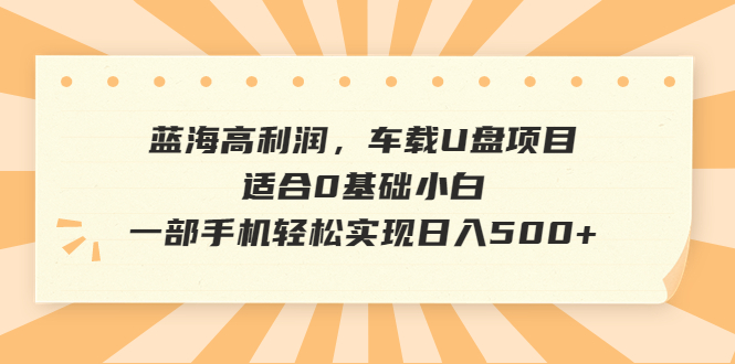 【副业项目6800期】蓝海高利润，车载U盘项目，适合0基础小白，一部手机轻松实现日入500+-万图副业网