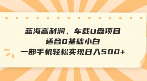【副业项目6781期】蓝海高利润，车载U盘项目，适合0基础小白，一部手机轻松实现一天500+-万图副业网