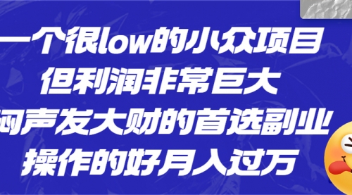 【副业项目6782期】一个很low的小众项目，但利润非常巨大，闷声发大财的首选副业，月入过万-万图副业网
