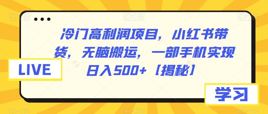 【副业项目6875期】冷门高利润项目，小红书带货，无脑搬运，一部手机实现日入500+【揭秘】-万图副业网