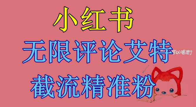 【副业项目6846期】小红书无限评论艾特截流精准粉（软件+教程）-万图副业网