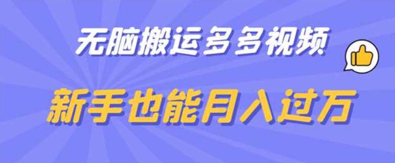 【副业项目6853期】无脑搬运多多视频，新手也能月入过万【揭秘】-万图副业网