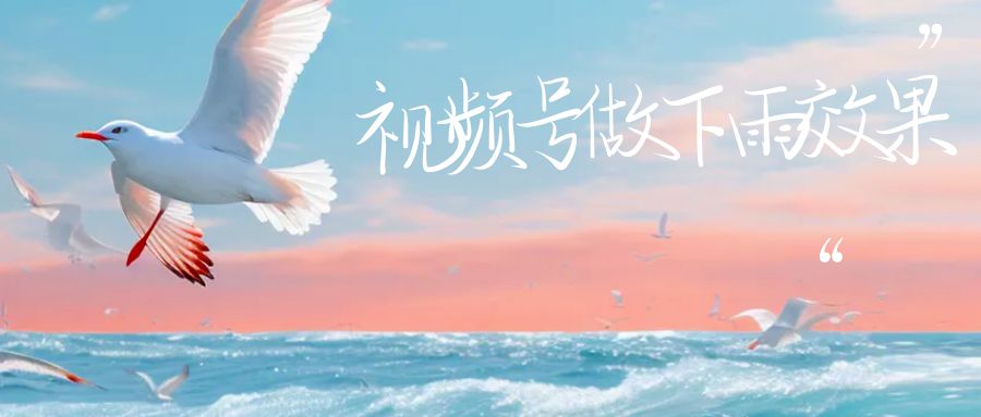 【副业项目6913期】视频号做下雨视频一个账号一周涨粉10W+年入100w-万图副业网
