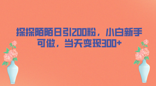 【副业项目7026期】探探陌陌日引200粉，小白新手可做，当天就能变现300+-万图副业网