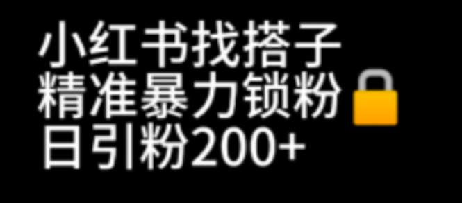 【副业项目7040期】小红书找搭子暴力精准锁粉+引流日引200+精准粉-万图副业网