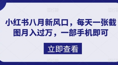 【副业项目7078期】八月新风口，小红书虚拟项目一天收入1000+-万图副业网