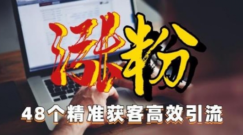 【副业项目7097期】独家分享48个引流绝技，再没粉丝只能怪自己了！-万图副业网