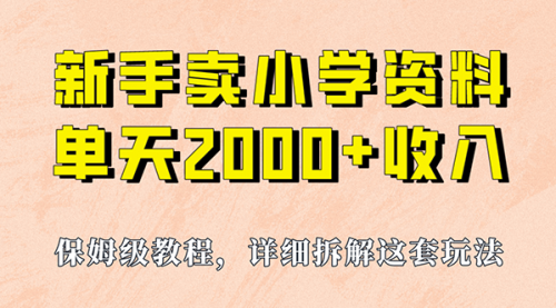 【副业项目7100期】卖小学资料，实现单天2000+，实操项目，保姆级教程+资料+工具-万图副业网