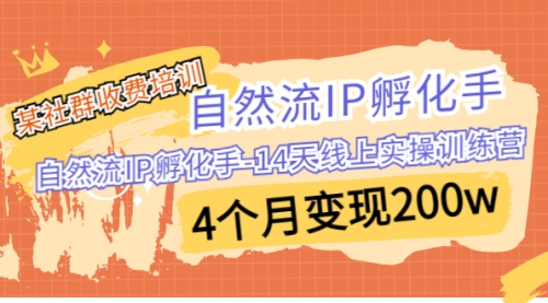【副业项目7109期】自然流IP孵化手-14天线上实操训练营 4个月变现200w-万图副业网