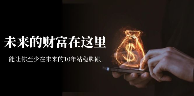 【副业项目7298期】某收费文章《未来的财富在这里》能让你至少在未来的10年站稳脚跟-万图副业网