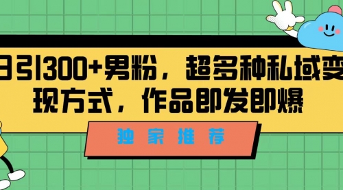 【副业项目7191期】独家推荐！日引300+男粉，超多种私域变现方式-万图副业网