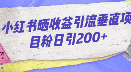 【副业项目7194期】小红书晒收益图引流垂直项目粉日引200+-万图副业网
