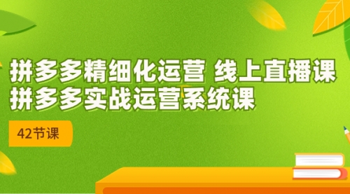 【副业项目7292期】2023年新课-拼多多精细化运营-万图副业网
