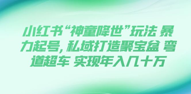 【副业项目7983期】小红书“神童降世”玩法 暴力起号,私域打造聚宝盆-万图副业网