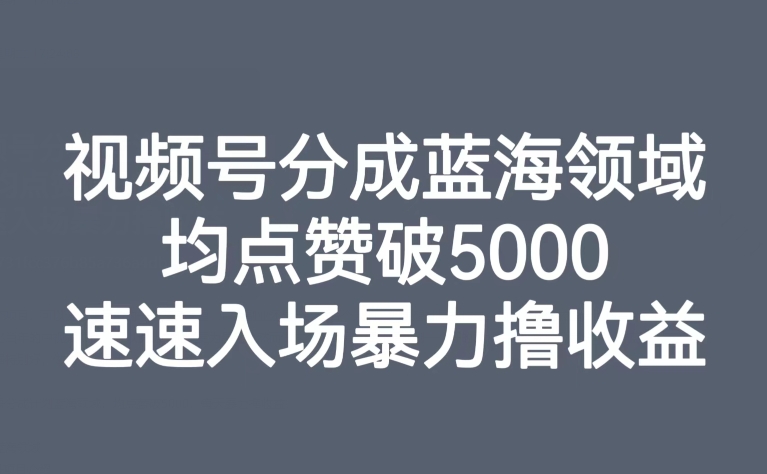 【副业项目8023期】视频号分成蓝海领域，均点赞破5000，速速入场暴力撸收益-万图副业网