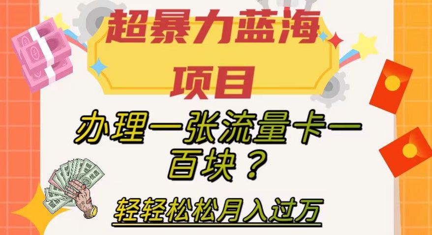 【副业项目8024期】超暴力蓝海项目，办理一张流量卡一百块？轻轻松松月入过万，保姆级教程【揭秘】-万图副业网