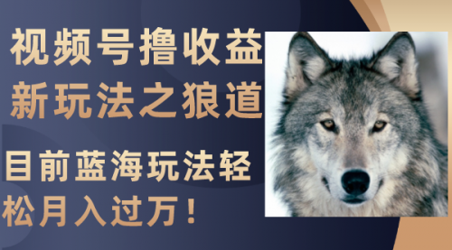 【副业项目8271期】视频号撸收益新玩法之狼道，目前蓝海玩法轻松月入过万！-万图副业网