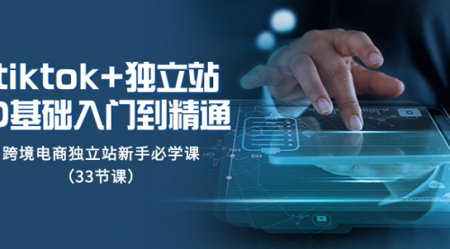 【副业项目8304期】tk+独立站从0基础入门到精通，跨境电商独立站新手必学课-万图副业网