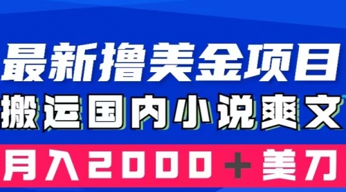 【副业项目8408期】国内小说爽文搬运到国外，复制粘贴一月2000+美金-万图副业网