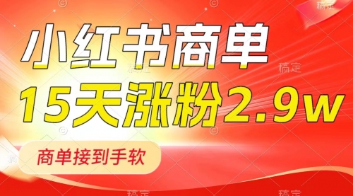 【副业项目8480期】小红书商单最新玩法，新号15天2.9w粉，接单到手软-万图副业网