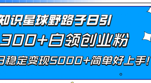 【副业项目8492期】知识星球野路子日引300+白领创业粉-万图副业网