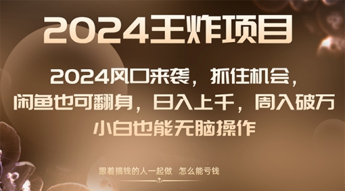 【副业项目8548期】2024闲鱼翻身项目，小白也可做-万图副业网
