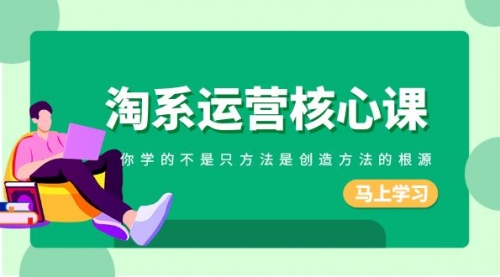 【副业项目8556期】淘系-运营核心课，你学的不是只方法是创造方法的根源-万图副业网