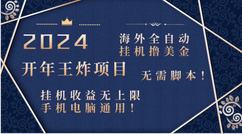 【副业项目8620期】2024海外撸美金项目！手机电脑均可-万图副业网