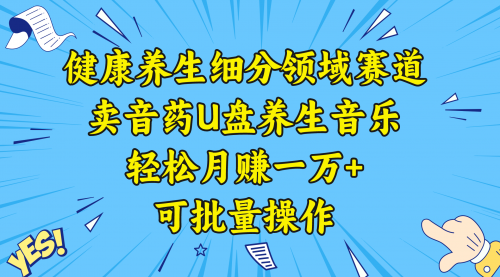 【副业项目8638期】健康养生细分领域赛道，卖音药U盘养生音乐，轻松月赚一万+，可批量操作-万图副业网