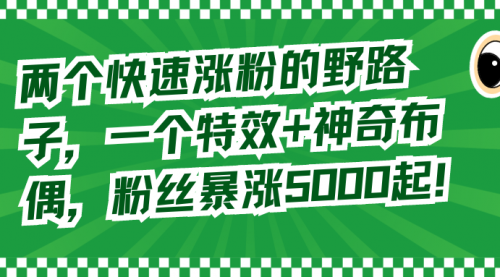 【副业8723期】两个快速涨粉的野路子，一个特效+神奇布偶，粉丝暴涨5000起！-万图副业网