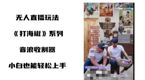 【副业8766期】打海椒无人直播整蛊项目，小白轻松上手撸音浪收割器（教程+工具+素材）-万图副业网