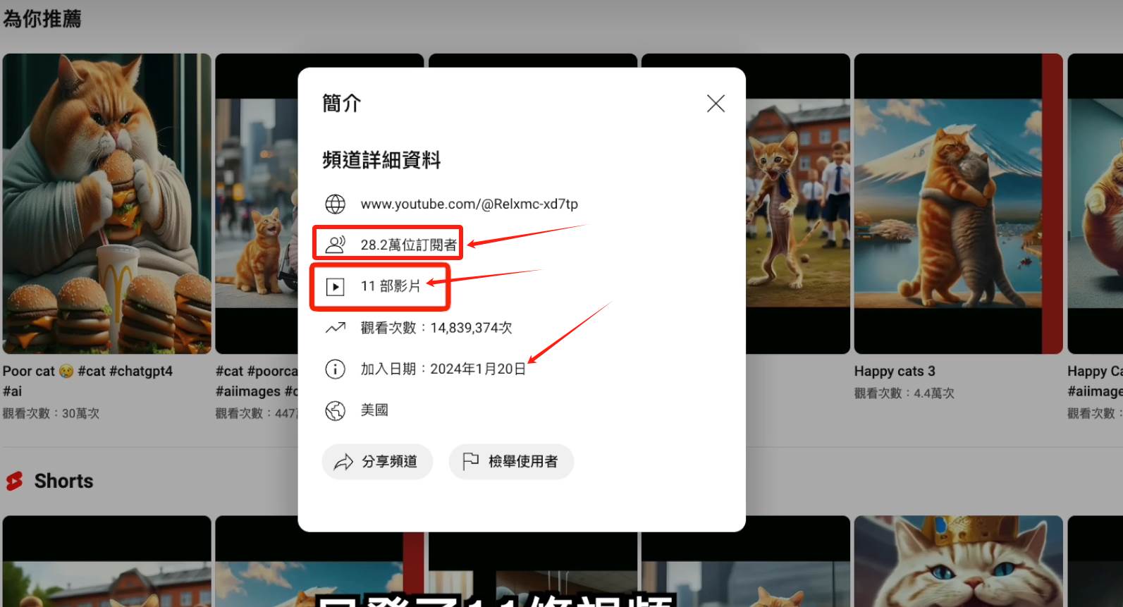 图片[2]-AI貓咪剧情号，30天涨粉100w，制作简单，一个视频全网分发，轻松月入1W+-万图副业网