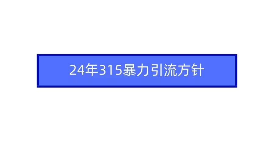 2024年315暴力引流方针-万图副业网
