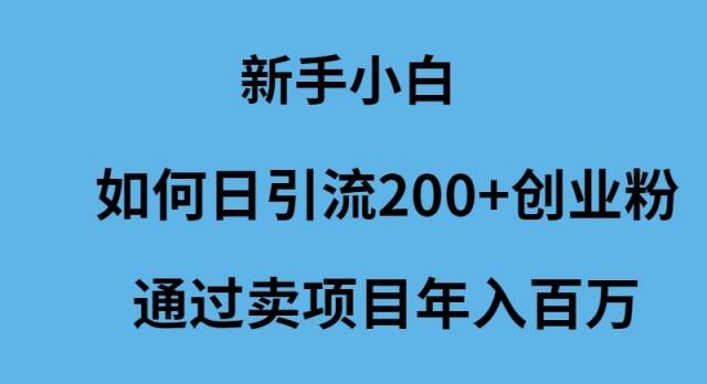 新手小白如何日引流200+创业粉通过卖项目年入百万-万图副业网