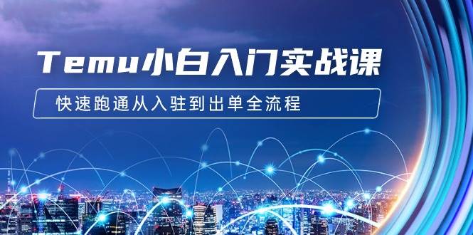 Temu小白入门实战课：跨境拼多多电商培训 快速跑通从入驻到出单全流程-12节-万图副业网