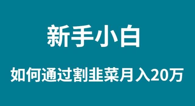 新手小白如何通过割韭菜月入 20W-万图副业网