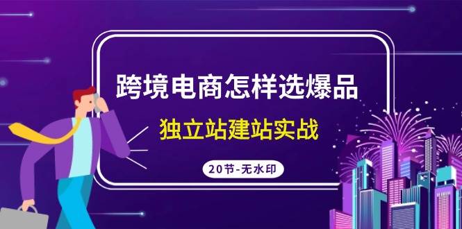 跨境电商怎样选爆品，独立站建站实战（20节高清无水印课）-万图副业网