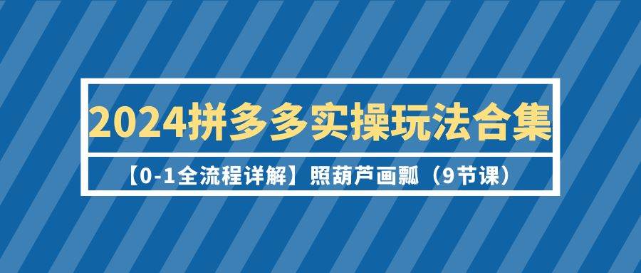 2024拼多多实操玩法合集【0-1全流程详解】照葫芦画瓢（9节课）-万图副业网