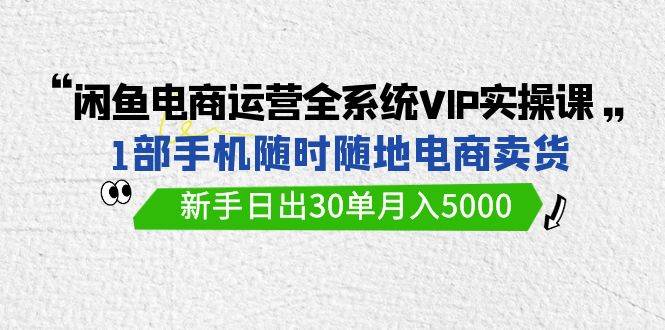 闲鱼电商运营全系统VIP实战课，1部手机随时随地卖货，新手日出30单月入5000-万图副业网