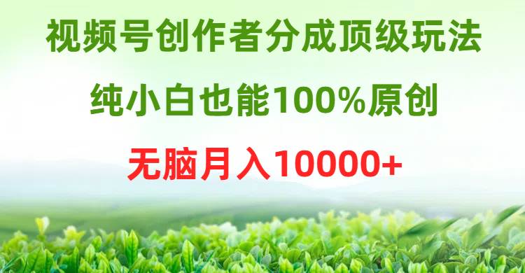视频号创作者分成顶级玩法，纯小白也能100%原创，无脑月入10000+-万图副业网