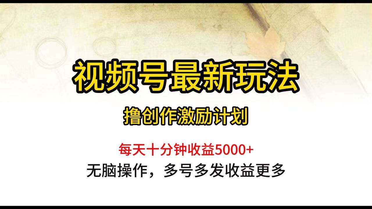 视频号最新玩法，每日一小时月入5000+-万图副业网