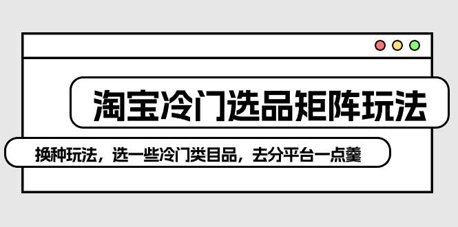 淘宝冷门选品矩阵玩法：换种玩法，选一些冷门类目品，去分平台一点羹-万图副业网