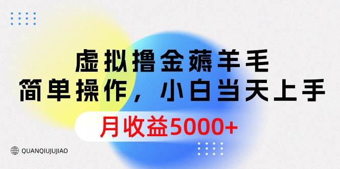 虚拟撸金薅羊毛，简单操作，小白当天上手，月收益5000+-万图副业网