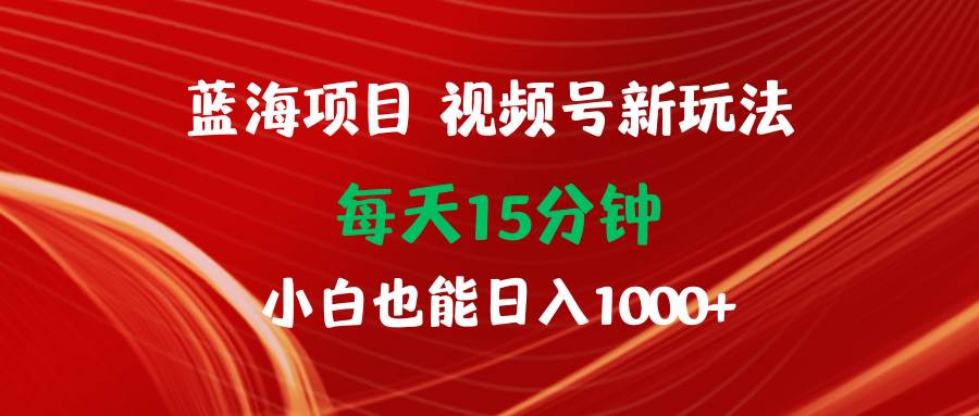 蓝海项目视频号新玩法 每天15分钟 小白也能日入1000+-万图副业网
