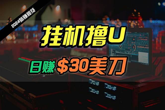 日赚30美刀，2024最新海外挂机撸U内部项目，全程无人值守，可批量放大-万图副业网